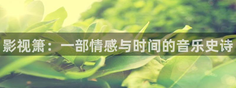 6080神马电影院手机高清在线